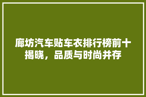 廊坊汽车贴车衣排行榜前十揭晓，品质与时尚并存  第1张