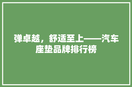 弹卓越，舒适至上——汽车座垫品牌排行榜