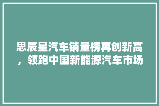 思辰星汽车销量榜再创新高，领跑中国新能源汽车市场  第1张