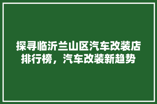 探寻临沂兰山区汽车改装店排行榜，汽车改装新趋势