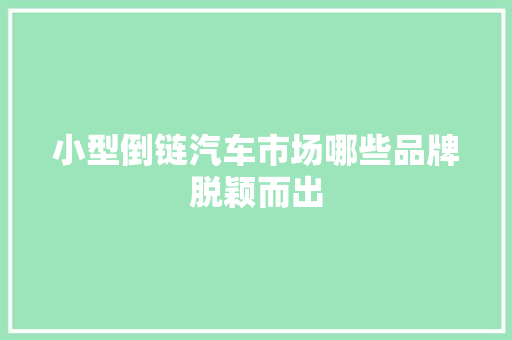 小型倒链汽车市场哪些品牌脱颖而出