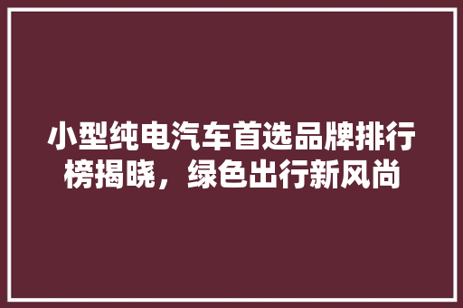 小型纯电汽车首选品牌排行榜揭晓，绿色出行新风尚  第1张