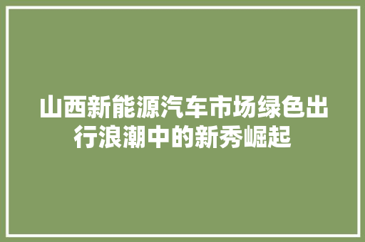 山西新能源汽车市场绿色出行浪潮中的新秀崛起  第1张