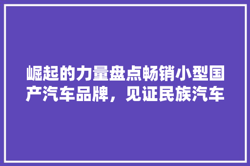 崛起的力量盘点畅销小型国产汽车品牌，见证民族汽车产业的辉煌篇章  第1张