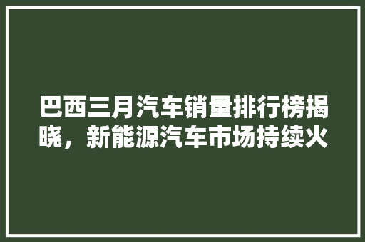 巴西三月汽车销量排行榜揭晓，新能源汽车市场持续火热