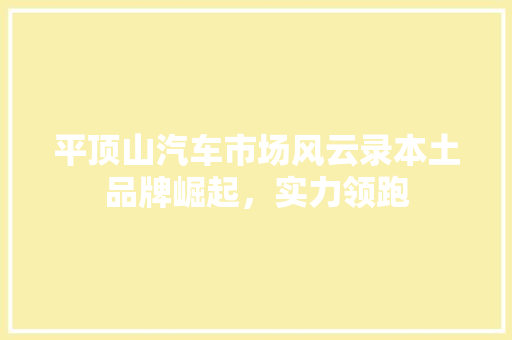 平顶山汽车市场风云录本土品牌崛起，实力领跑  第1张