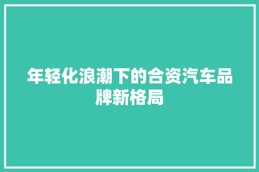 年轻化浪潮下的合资汽车品牌新格局  第1张