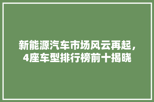 新能源汽车市场风云再起，4座车型排行榜前十揭晓  第1张