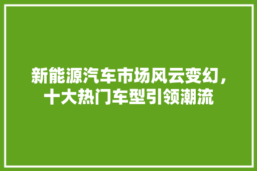 新能源汽车市场风云变幻，十大热门车型引领潮流  第1张