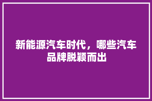 新能源汽车时代，哪些汽车品牌脱颖而出