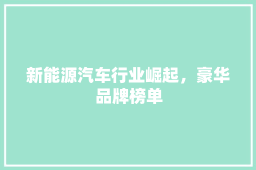 新能源汽车行业崛起，豪华品牌榜单
