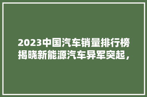2023中国汽车销量排行榜揭晓新能源汽车异军突起，传统车企转型升级