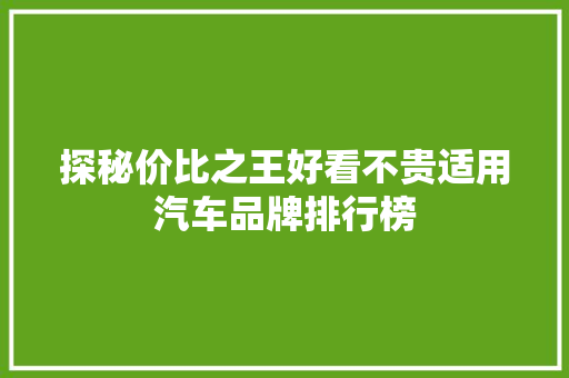探秘价比之王好看不贵适用汽车品牌排行榜