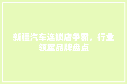 新疆汽车连锁店争霸，行业领军品牌盘点