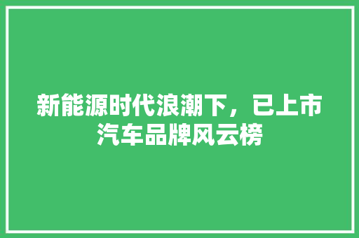 新能源时代浪潮下，已上市汽车品牌风云榜
