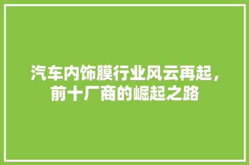 汽车内饰膜行业风云再起，前十厂商的崛起之路