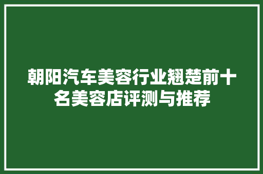 朝阳汽车美容行业翘楚前十名美容店评测与推荐