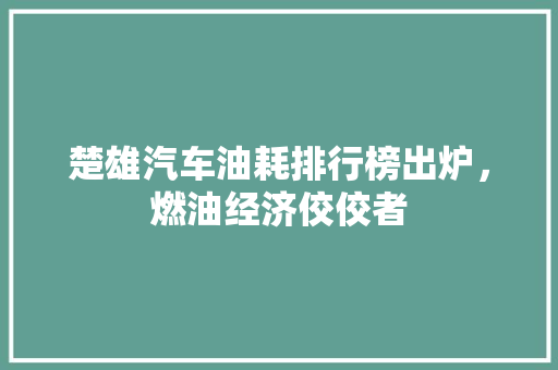 楚雄汽车油耗排行榜出炉，燃油经济佼佼者