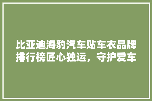 比亚迪海豹汽车贴车衣品牌排行榜匠心独运，守护爱车之美