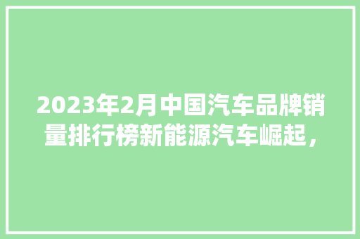 2023年2月中国汽车品牌销量排行榜新能源汽车崛起，传统车企稳扎稳打