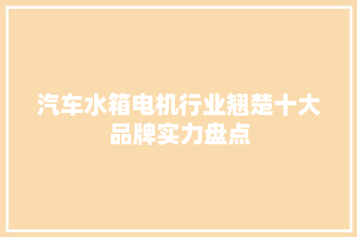 汽车水箱电机行业翘楚十大品牌实力盘点  第1张
