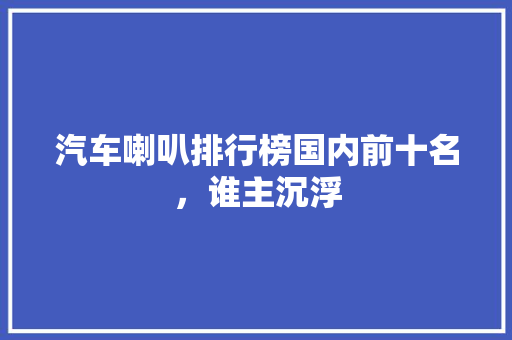 汽车喇叭排行榜国内前十名，谁主沉浮