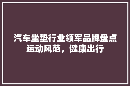 汽车坐垫行业领军品牌盘点运动风范，健康出行  第1张