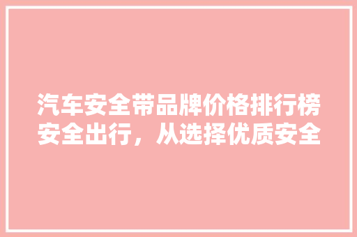 汽车安全带品牌价格排行榜安全出行，从选择优质安全带开始