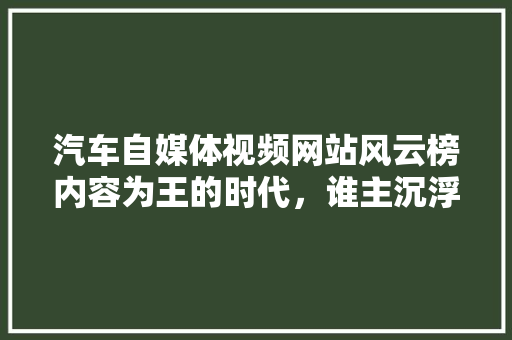 汽车自媒体视频网站风云榜内容为王的时代，谁主沉浮  第1张