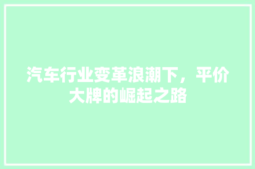 汽车行业变革浪潮下，平价大牌的崛起之路