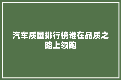 汽车质量排行榜谁在品质之路上领跑