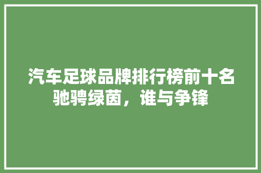 汽车足球品牌排行榜前十名驰骋绿茵，谁与争锋
