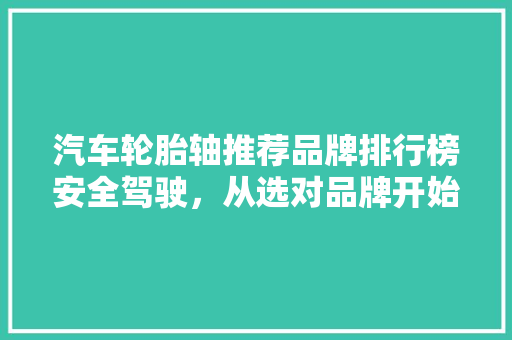 汽车轮胎轴推荐品牌排行榜安全驾驶，从选对品牌开始