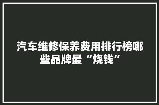 汽车维修保养费用排行榜哪些品牌最“烧钱”