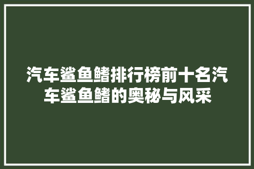 汽车鲨鱼鳍排行榜前十名汽车鲨鱼鳍的奥秘与风采  第1张