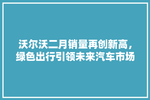 沃尔沃二月销量再创新高，绿色出行引领未来汽车市场  第1张