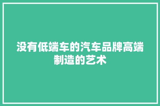 没有低端车的汽车品牌高端制造的艺术  第1张