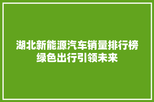 湖北新能源汽车销量排行榜绿色出行引领未来  第1张