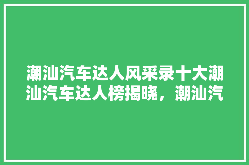 潮汕汽车达人风采录十大潮汕汽车达人榜揭晓，潮汕汽车文化新风尚