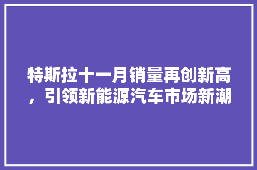 特斯拉十一月销量再创新高，引领新能源汽车市场新潮流  第1张