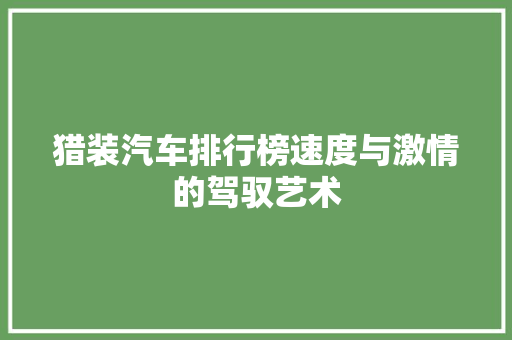 猎装汽车排行榜速度与激情的驾驭艺术  第1张