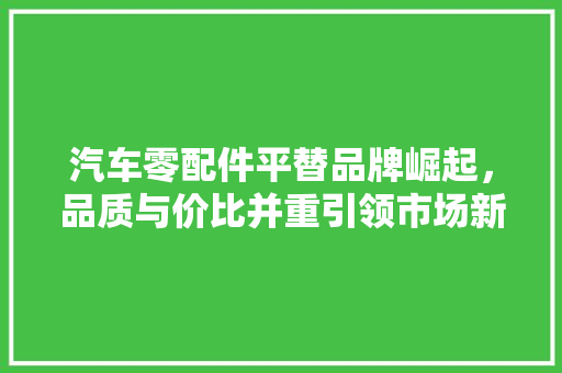 汽车零配件平替品牌崛起，品质与价比并重引领市场新潮流  第1张