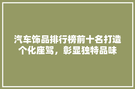 汽车饰品排行榜前十名打造个化座驾，彰显独特品味  第1张