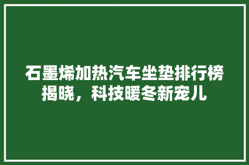石墨烯加热汽车坐垫排行榜揭晓，科技暖冬新宠儿