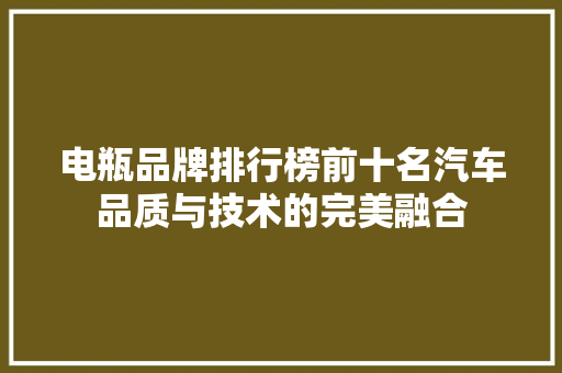 电瓶品牌排行榜前十名汽车品质与技术的完美融合