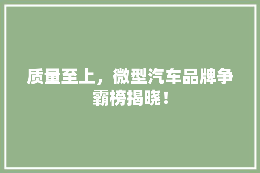 质量至上，微型汽车品牌争霸榜揭晓！