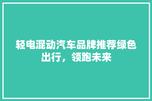轻电混动汽车品牌推荐绿色出行，领跑未来  第1张