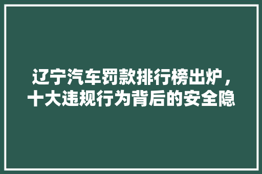 辽宁汽车罚款排行榜出炉，十大违规行为背后的安全隐患