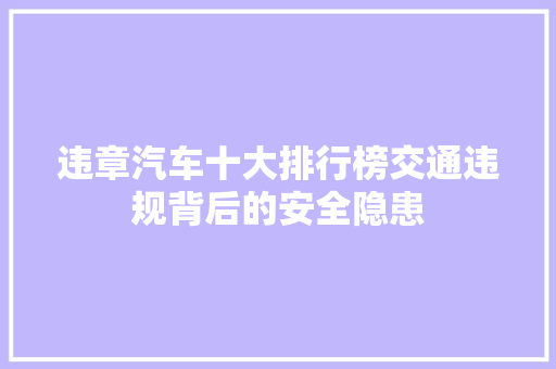 违章汽车十大排行榜交通违规背后的安全隐患  第1张