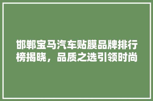 邯郸宝马汽车贴膜品牌排行榜揭晓，品质之选引领时尚潮流
